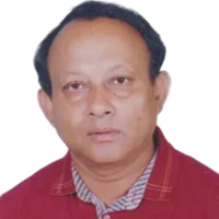 শাহীন মোস্তফা কামাল