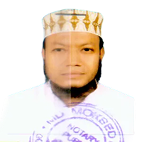 মোঃ আমির হামজা